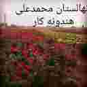 نهالستان الماس جنوب