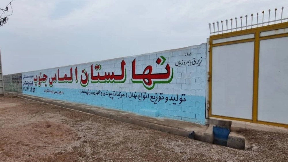 شتلات حمضيات مزروعة في دزفول