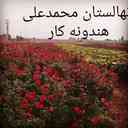 نهالستان الماس جنوب
