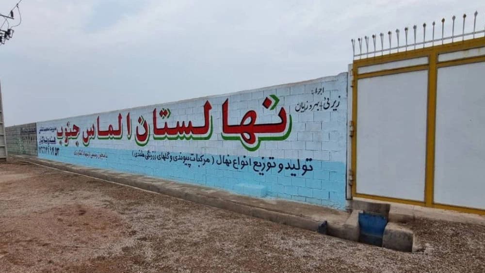 نهال مرکبات پیوندی در دزفول